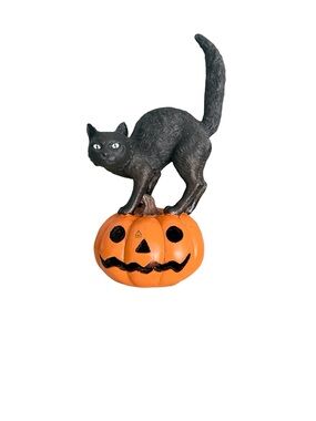 Light-Up Blow Mold Pumpkin Cat 12” x 6”